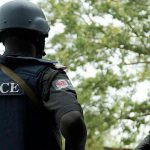 State police constitutional framework near completion, says Presidency