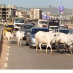 Why Ex-Depot Fuel Price Reduction Takes Time To Reflect At Filling Stations — PETROANl