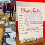 Ekiti Seeks $500m Egyptian Investment to Boost Industrialisation