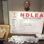 Prosecute Officials Over ‘Missing’ N33.75bn Cash Transfers, Falana Tells EFCC